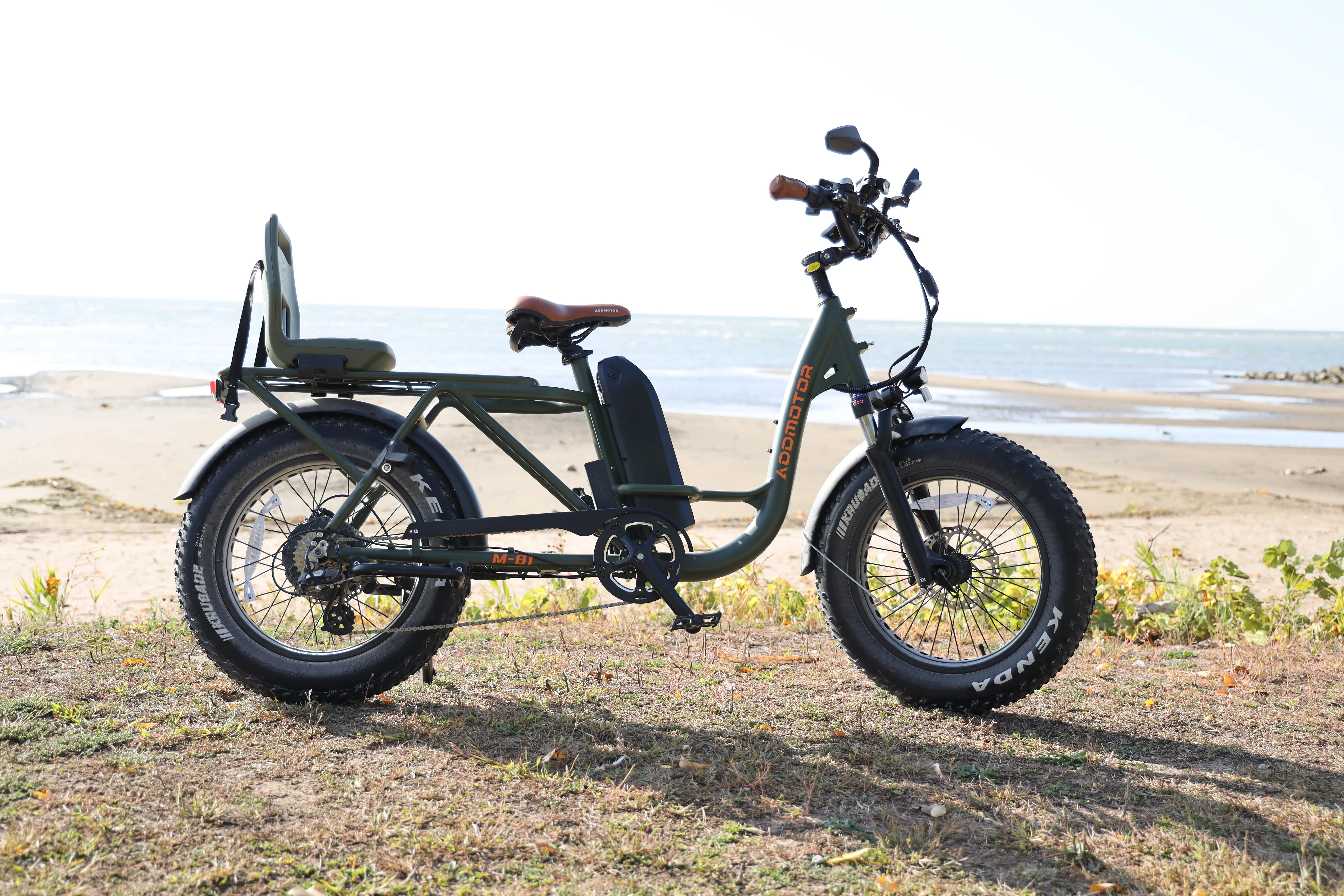 M-81 Step-thru Fat Tire Cargo Electric Bike in Army Green