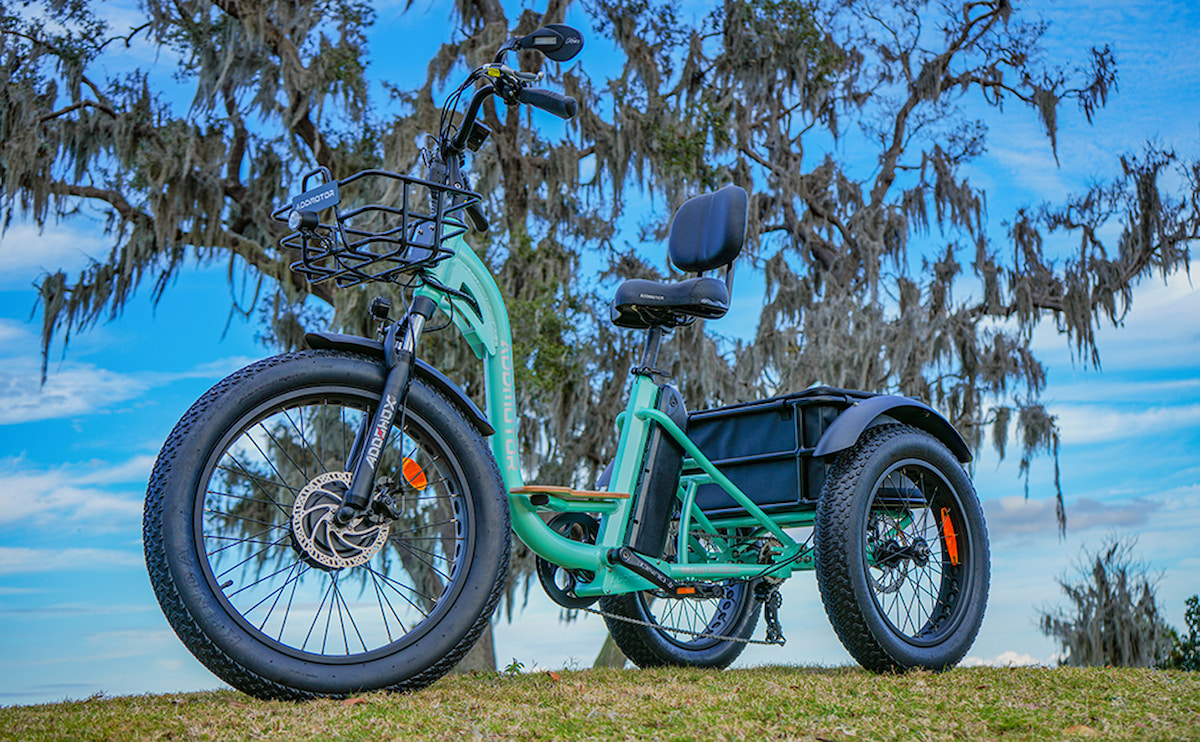 What Are The Pros And Cons Of An Adult Electric Trike