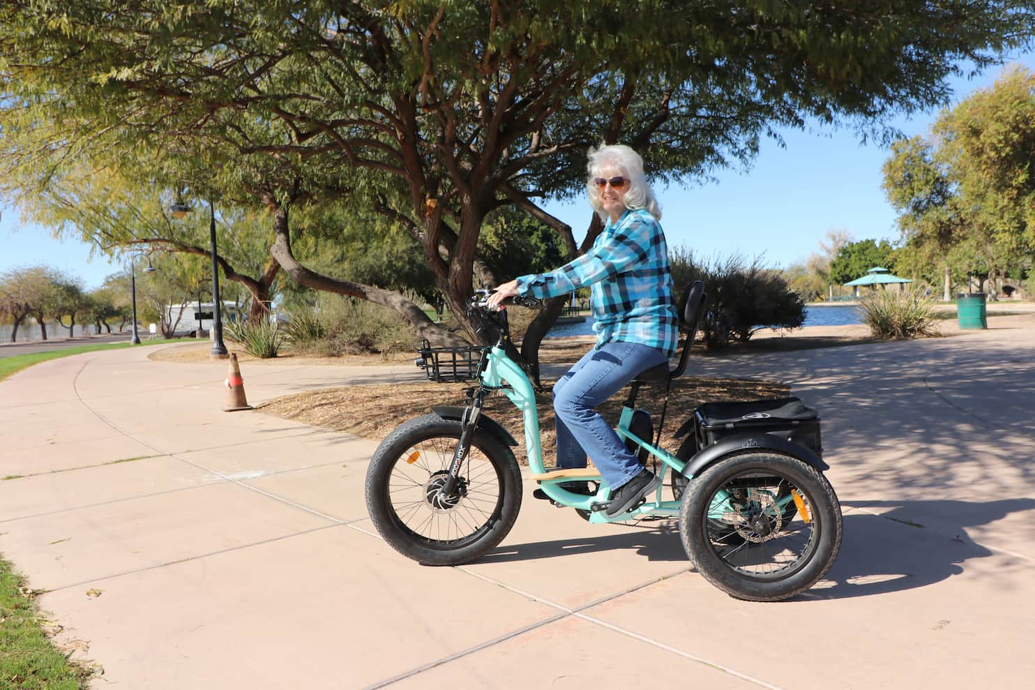 fat tire electric trike for seniors