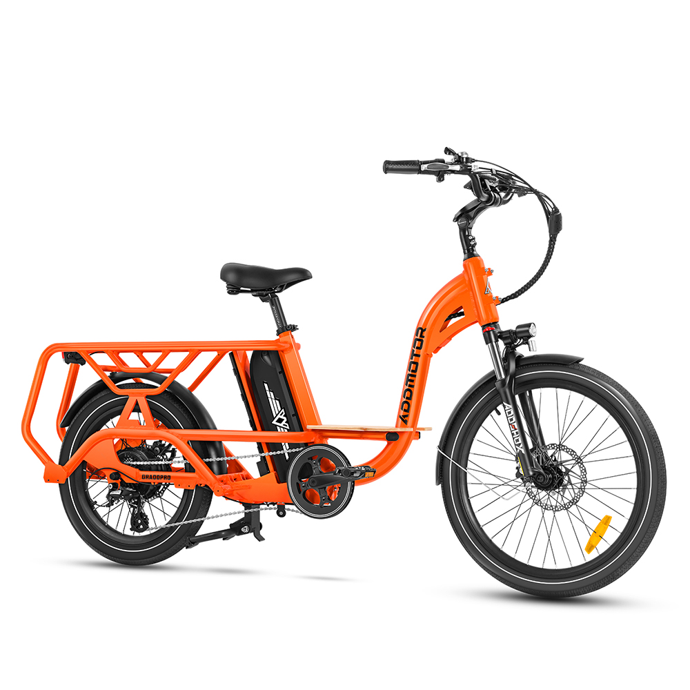 Graoopro Cargo eBike
